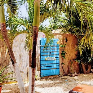 barefoot-apartments.comcaribbean.com/